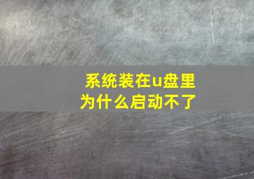 系统装在u盘里 为什么启动不了